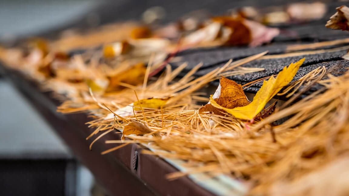 Gutter filled with dead leaves in the fall