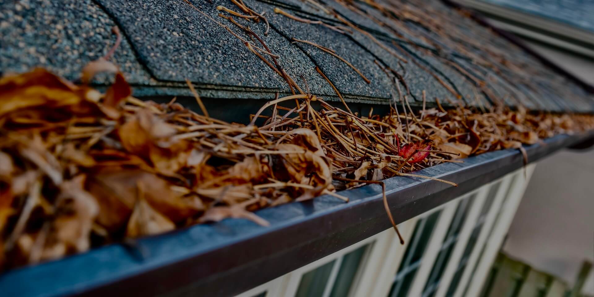 Home-gutter-cleaning