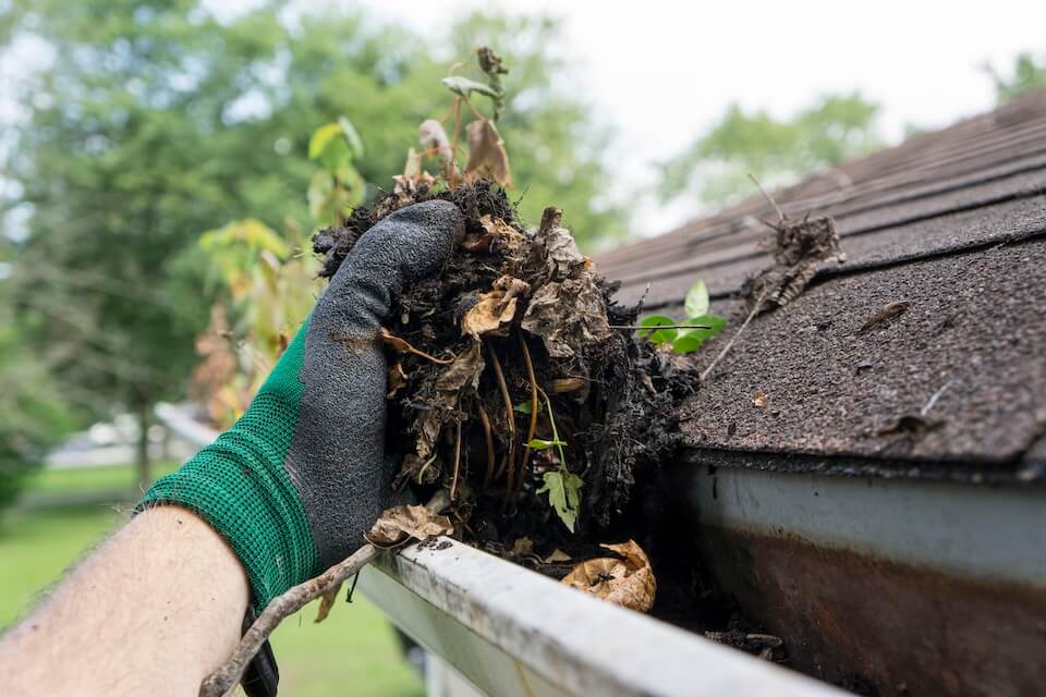 Vue de le main d'une personne nettoyant une gouttière remplie de feuilles mortes en automne